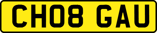 CH08GAU