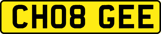 CH08GEE