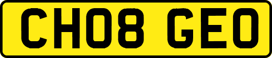 CH08GEO