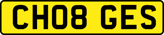 CH08GES