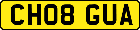 CH08GUA