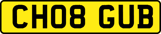 CH08GUB