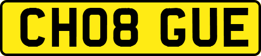 CH08GUE
