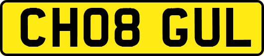 CH08GUL
