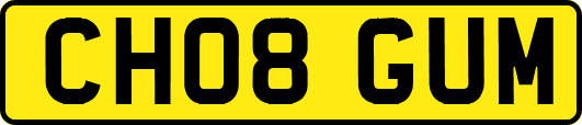 CH08GUM