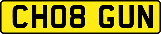 CH08GUN