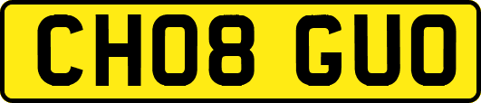 CH08GUO