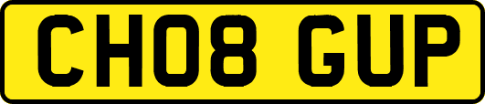 CH08GUP