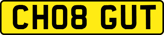 CH08GUT