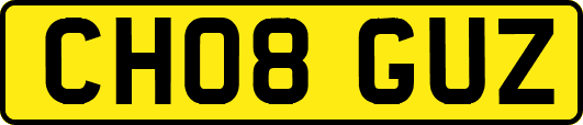 CH08GUZ