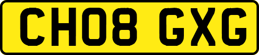 CH08GXG