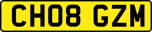 CH08GZM
