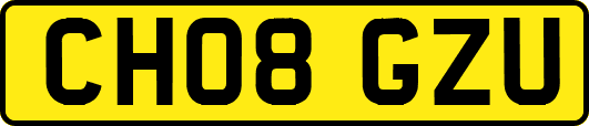 CH08GZU