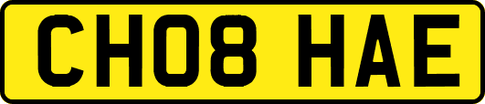 CH08HAE