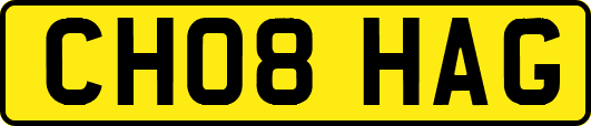 CH08HAG