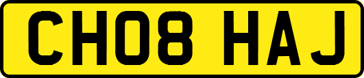 CH08HAJ