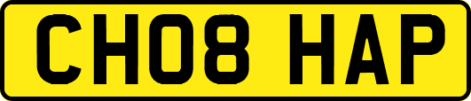 CH08HAP