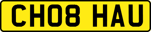 CH08HAU