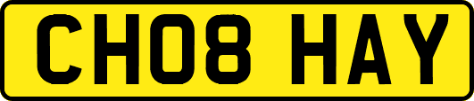 CH08HAY