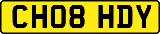 CH08HDY