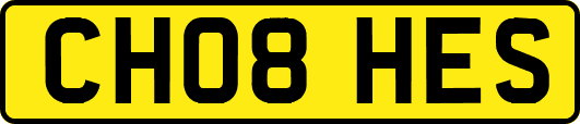 CH08HES