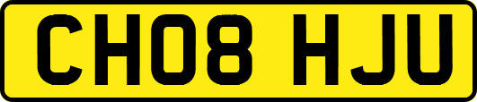 CH08HJU