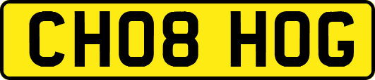 CH08HOG