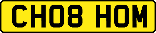 CH08HOM