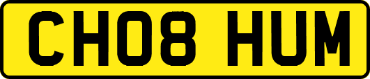 CH08HUM