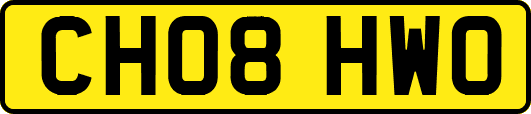 CH08HWO