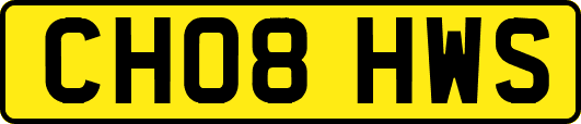CH08HWS