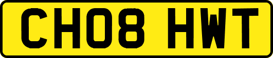 CH08HWT