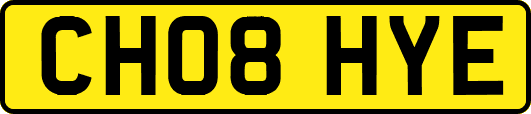 CH08HYE