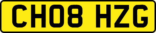 CH08HZG