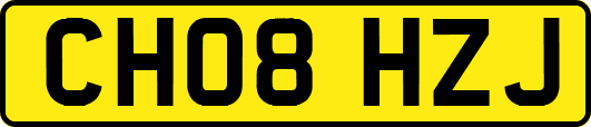CH08HZJ