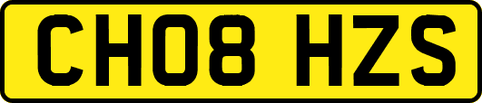 CH08HZS