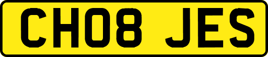 CH08JES