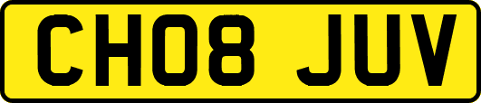 CH08JUV