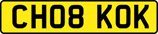 CH08KOK