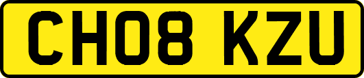 CH08KZU