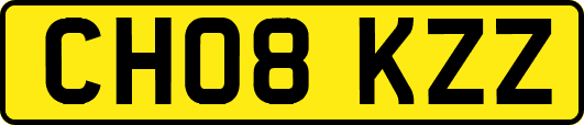 CH08KZZ