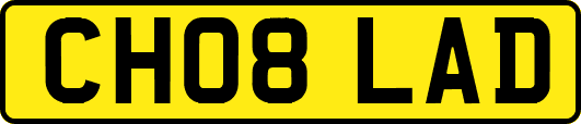 CH08LAD