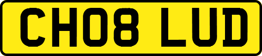 CH08LUD