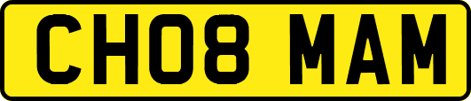 CH08MAM