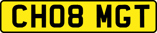 CH08MGT