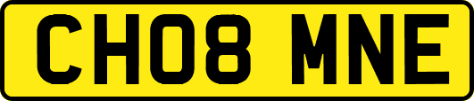 CH08MNE