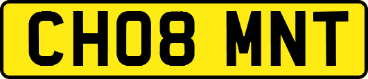 CH08MNT