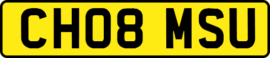 CH08MSU