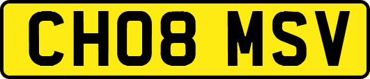 CH08MSV