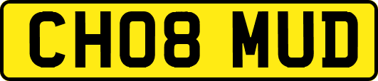 CH08MUD